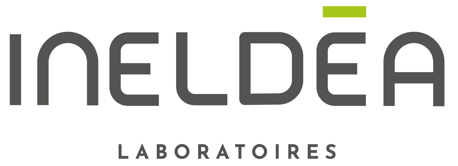 logo ineldea